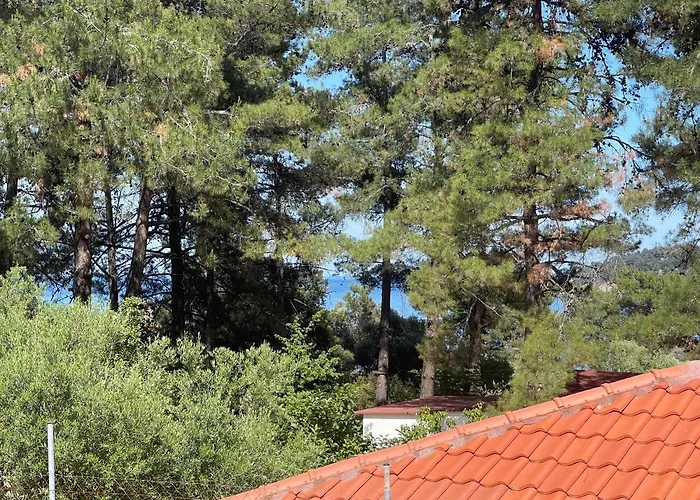 Holiday home Miro & Lana Vacation *